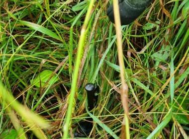 Инструкторы филиала Центра «ВОИН» в Сахалинской области провели занятие в полевых условиях